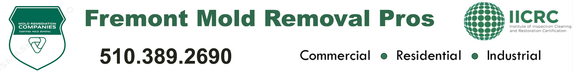 Fremont Mold Removal Pros